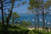 Top Arcachon