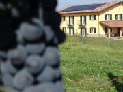 Top Nizza Monferrato