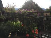 Top Cetinje