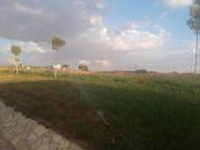 Top Zafra de Záncara