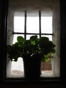 Top Arcos de la Frontera