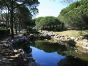 Top Altura Top Altura