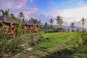 Top Munduk