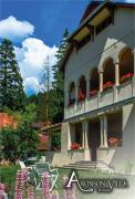 Aronson Villa Tusnad
