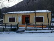 Top Morino