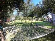 Top Matzaccara Top Matzaccara