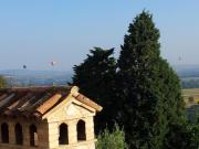 Top Todi