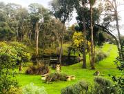 Countryside Retreat romantic tranquil native wildlife township Hepburn - Daylesford