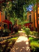 Top Playa del Carmen