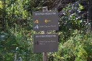 Top LIsle-aux-Coudres