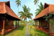 Top Alleppey