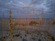 Top Tybee Island