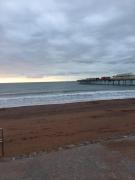 Aquamarina Christmas Illuminations, Decorate your own Christmas Tree