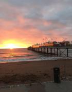 Aquamarina Christmas Illuminations, Decorate your own Christmas Tree