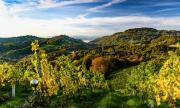 Top Kitzeck im Sausal