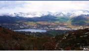 Top Petín