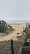 Top Las Gaviotas