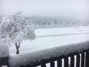 Top Estes Park