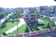 Top Cerignola