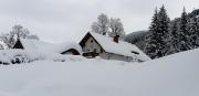 Top Untertauern