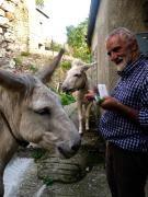 Viandanti, Artisti e Sognatori