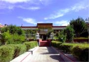 Top Leh