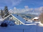 Chalet Le Flocon Bleu - Mauselaine avec vue sur le Lac de Gérardmer
