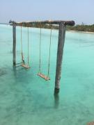 Top Bacalar