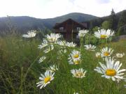 Top Verkhovyna