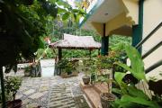 Top Bukit Lawang