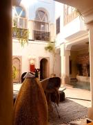 Top Marrakesz