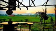 Top Phrae