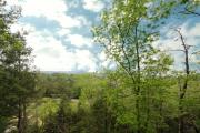 Top Sevierville