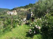 Top Calice Ligure Top Calice Ligure
