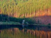 Top Baselga di Pinè