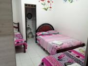 Top Pereira Top Pereira