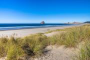 Top Pacific City