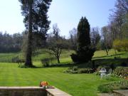 Top Dorking Top Dorking