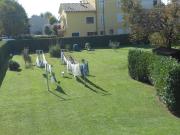 Top Lucca