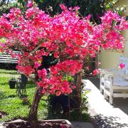 Refugio Fofo - casa de temporada