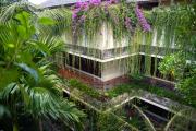 Top Ubud