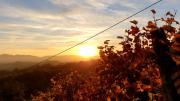 Top Leutschach