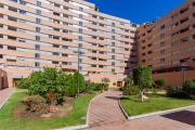 Araucaria Garden & Parking