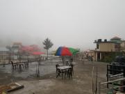 Top Dalhousie