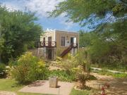 Top Steytlerville