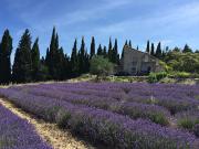 Top La Garde-Adhémar