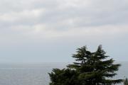 Top Umag