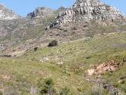 Disa Park 16th Floor Apartment with City Views