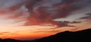 Top Les Ardillats