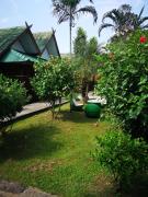 Top Mae Sariang Top Mae Sariang